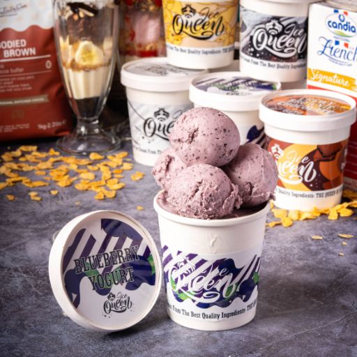 Yogurt Blueberry Ice Cream